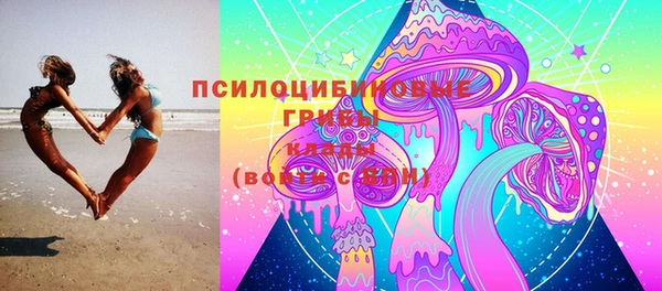 соль курить ск Богородицк