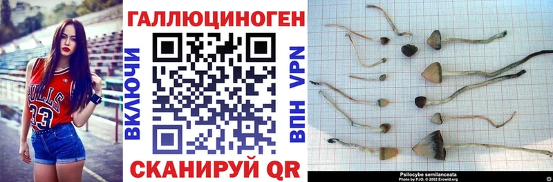 Галлюциногенные грибы прущие грибы Приволжский